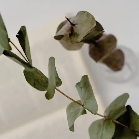 Anamnesia Collection Aronia Kastraki Villa