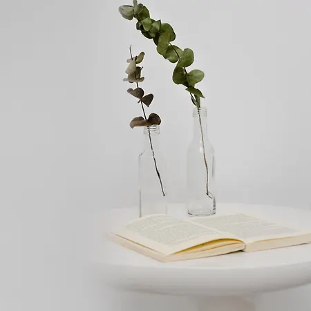 Anamnesia Collection Aronia Kastraki Villa *