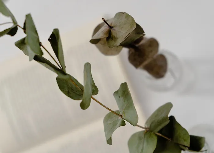 Anamnesia Collection Aronia Kastraki Вилла